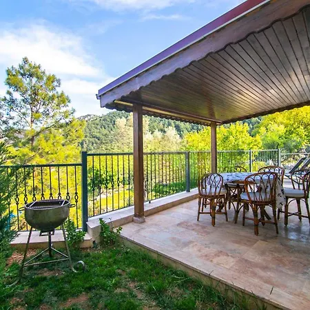 Dadya 4 - Turgut Da Oezel Havuzlu Denize Yakin Lueks Villa